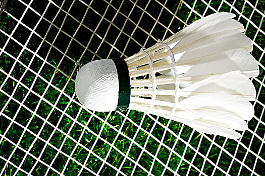 不中途调整 不中途调整