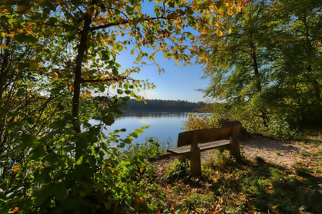 他贡献了 他贡献了