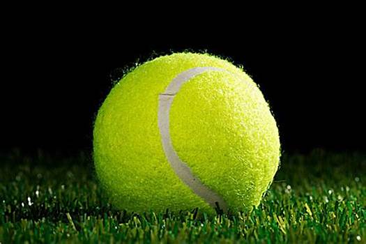 瓦斯的對立 瓦斯的對立