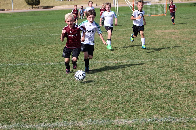 迷获取主场 迷获取主场